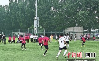 红河学院有足球队吗，红河学院有足球队吗现在